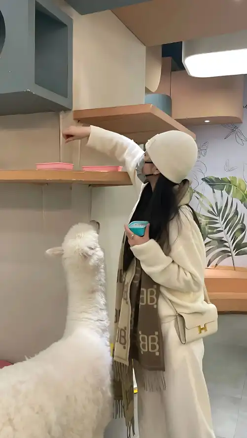 德赢体育平台_亚洲色精品vr一区区三区_亚洲AV色男人的天堂